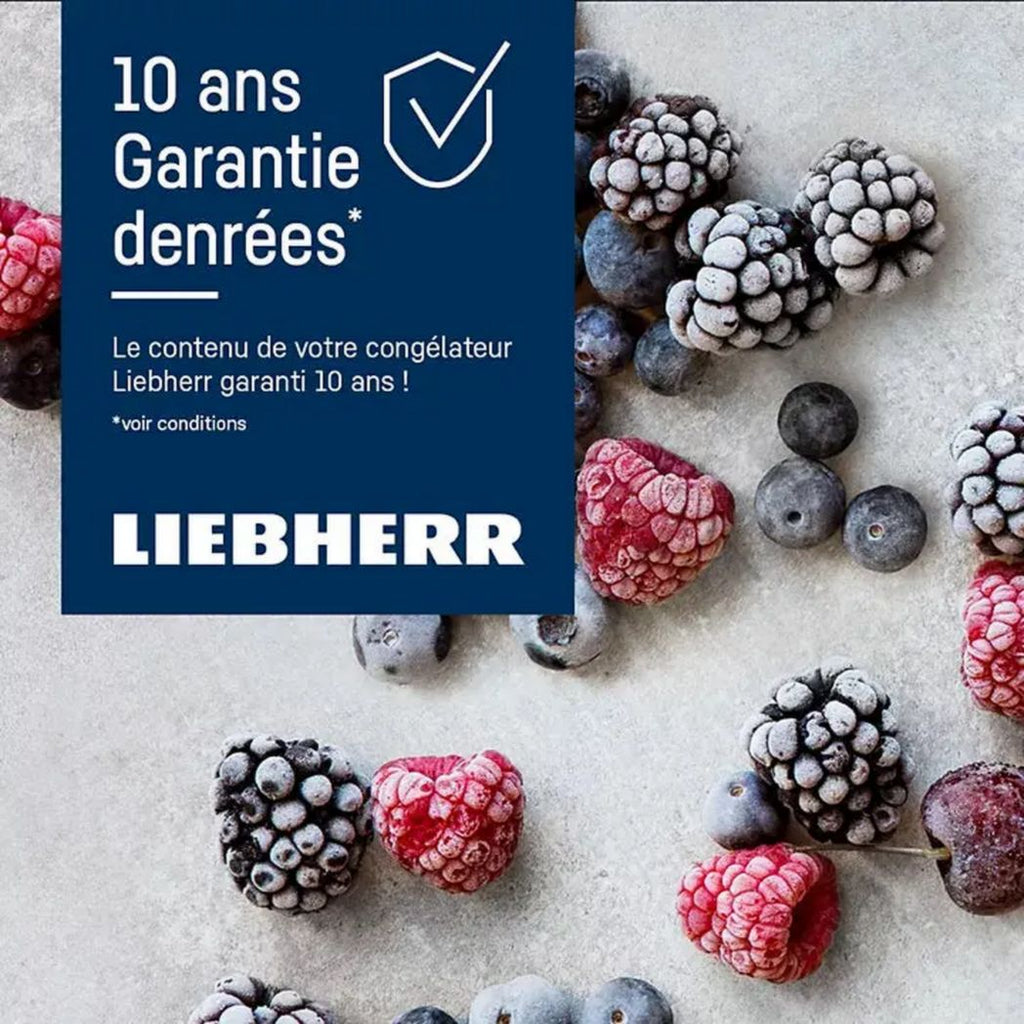 Congélateur supérieur LIEBHERR FNdi1624